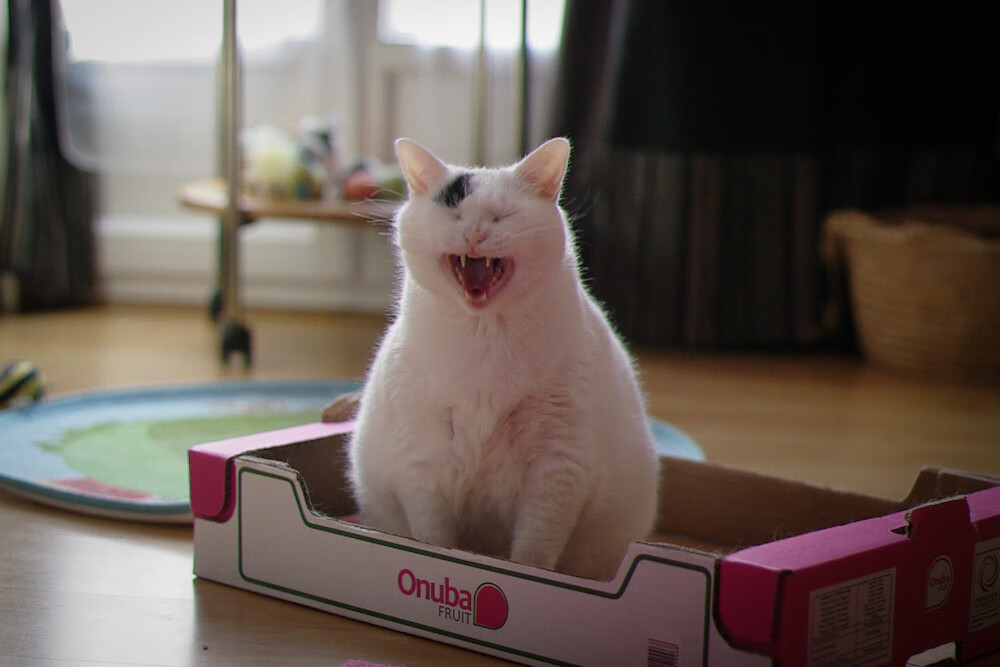 阿圭罗完美演绎进攻艺术，克罗地亚闪电战击溃澳大利亚